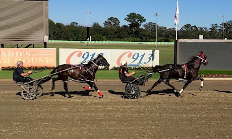 Make Way trails Miracle Mile hero (My) Field Marshal in fast work at Menangle on Saturday.