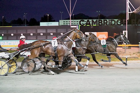 Zealand Star is coming off a track record win at Cambridge but steps up crazily in grade. PHOTO: FokusPhotography.