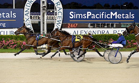 Lady Cherokee shows courage to fight back and beat Best Western at Alexandra Park tonight. PHOTO: Joel Gillan/Race Images.