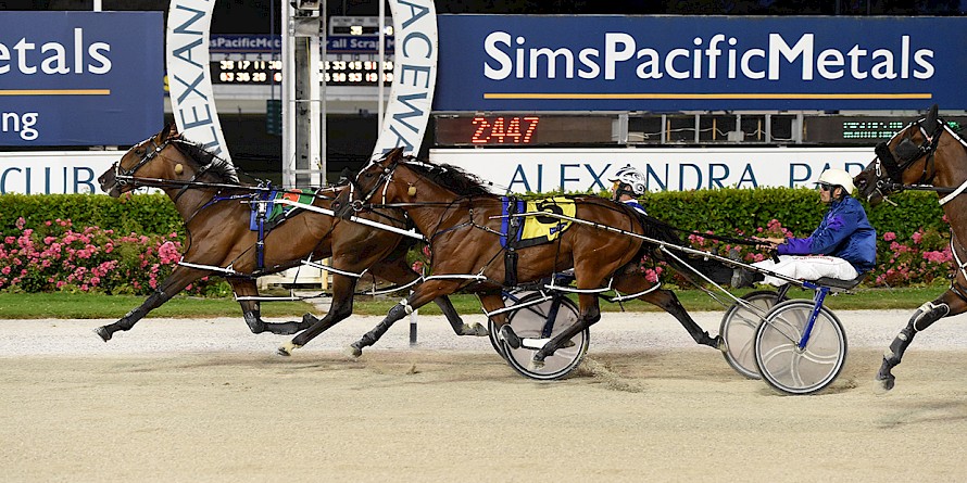 Lady Cherokee shows courage to fight back and beat Best Western at Alexandra Park tonight. PHOTO: Joel Gillan/Race Images.
