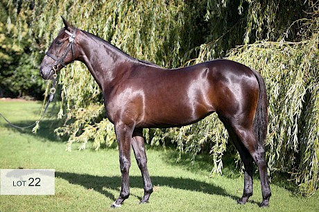 The sale’s top priced filly by Bettor’s Delight out of Eyre To The Throne fetched $120,000.