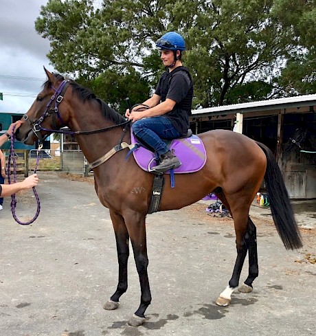 Platinum Road pictured at today’s Levin jumpouts.