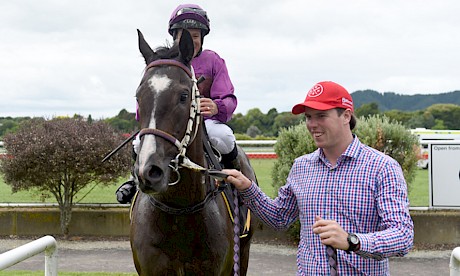 Strapper Matt Lavelle leads Platinum Invador who is chasing a derby start at Otaki on Saturday. PHOTO: Race Images.
