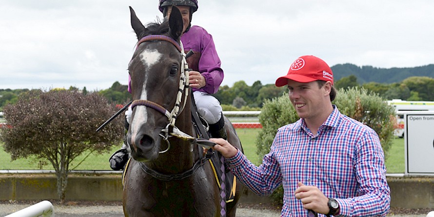 Strapper Matt Lavelle leads Platinum Invador who is chasing a derby start at Otaki on Saturday. PHOTO: Race Images.