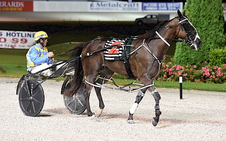 David Butcher, in the blue and yellow diamonds of owner Emilio Rosati, brings Recco Lover back to scale. PHOTO: Race Images.