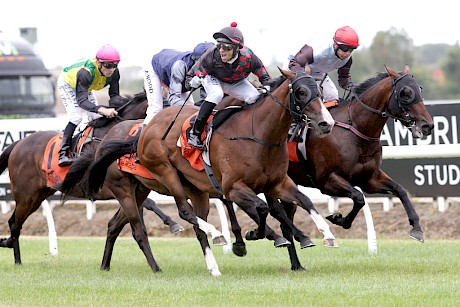 Sword In Stone, in blue colours just inside winner Sponge Bob, will also miss out on a derby start despite just being photo-finished in the Waikato Guineas. PHOTO: Trish Dunell..