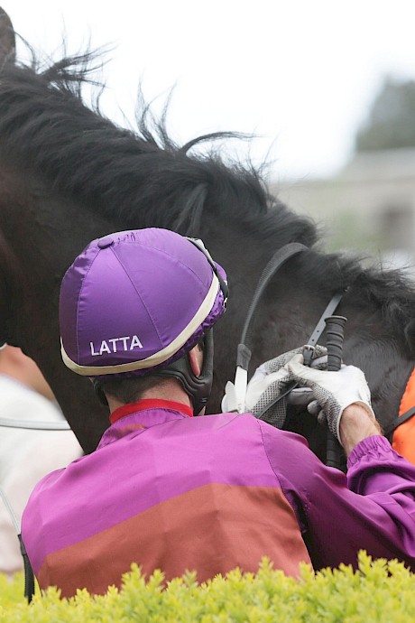 Lincoln’s Gal will be ridden by Craig Grylls.