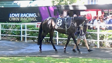 Kamanda Lincoln parading before yesterday’s Nathans Memorial.