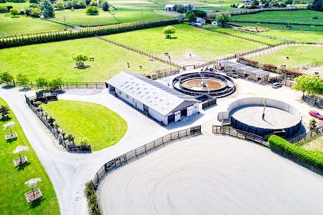 Kamada Park, 65 hectares of horse heaven on the outskirts of Palmerston North.