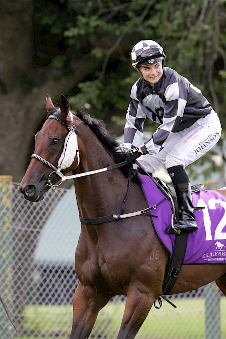 King Kamada (Danielle Johnson), the first horse bought by Kevin Pratt, ran second in Rock Diva’s 2015 Auckland Cup. PHOTO: Trish Dunell.