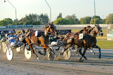 Just Wing It hangs on to beat Ball Of Art, outer, and Catch The Dream at Cambridge last night. PHOTO: FokusPhotography.