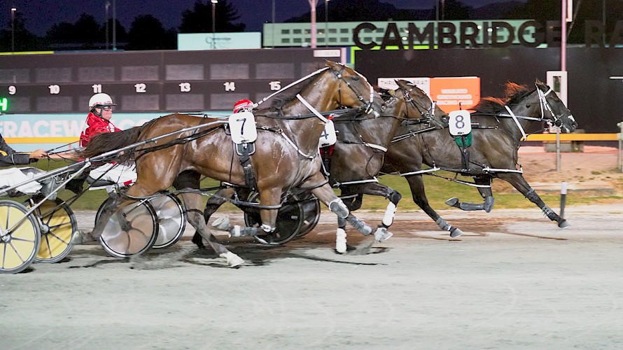 chariot races horses stars chariot races horses stars