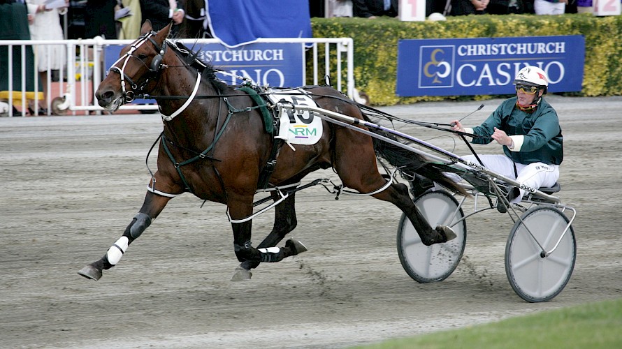 Harness race drivers killed Harness race drivers killed
