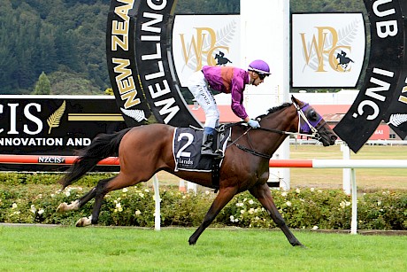 Lincoln Fury (Dylan Turner) cruising to the line two lengths clear. PHOTO: Race Images.