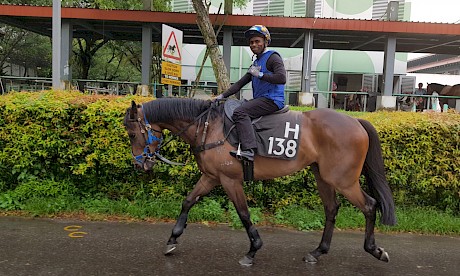 Miracle Time … in the wars at Kranji on Sunday.