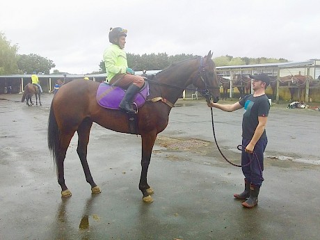 Lincoln Town at Levin today … “He won well and was waiting for the other horses.”