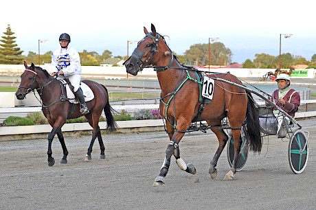 Jay Abernethy brings Lincoln Moment back to scale, nearly 11 years after driving his dam to win her only race.