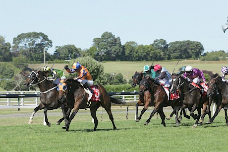 Platinum Invador, in the purple colours, charges home when clear to run third in the New Zealand Derby. PHOTO: Trish Dunell.