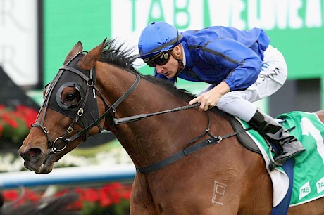 Blake Shinn on star Australian galloper Happy Clapper on whom he has won three Group I races.