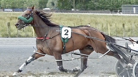 Governor’s Bay stretches out in his first workout at Pukekohe today.