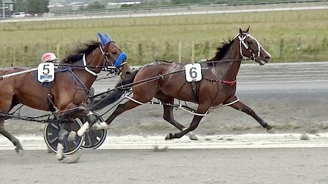 Joey Lincoln leading his heat just before galloping at Pukekohe today.