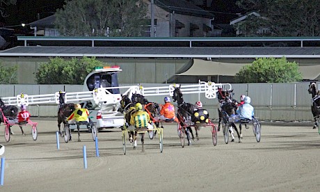 The mobile gate at Albion Park pulls away. If Trojan Banner stays on the markers on Friday he’ll be buried for sure.