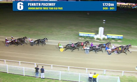 PENRITH - 21/03/2019 - Race 6 - CONSOLIDATED THREE YEAR OLD PACE