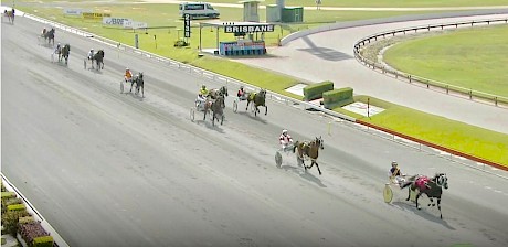 They’re coming home like Brown’s cows as Hayden Barnes puts his foot down on Trojan Banner at Albion Park today.