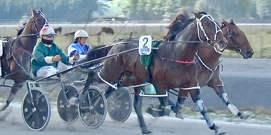 Sir Tiger (Zachary Butcher) is under no pressure to beat Pekeson at Pukekohe today.