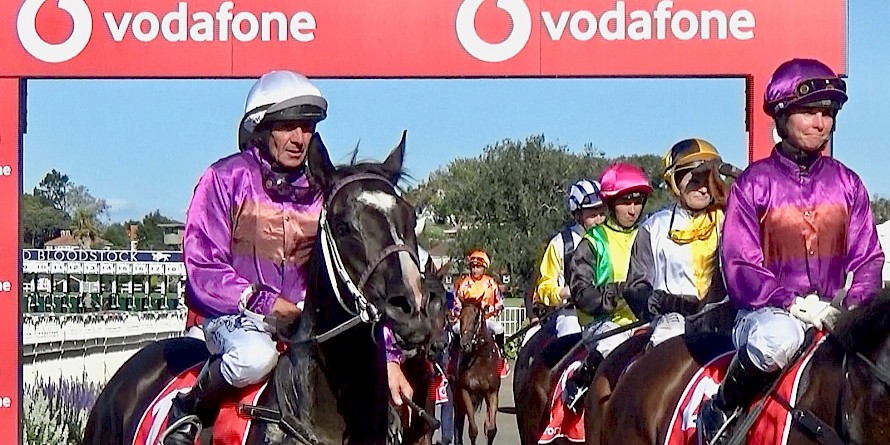Chris Johnson, left, brings Platinum Invador back to scale after a brave and unlucky third in the New Zealand Derby at his last start.