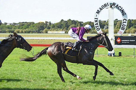 Platinum Invador has winning form in wet ground and over middle distances.