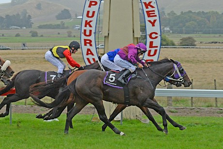 Miss Oahu gets her nose in front right on the post to beat Pincanto at Waipukurau today. PHOTO: Race Images.