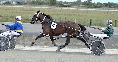 Just Wing It (Tony Cameron) is travelling well in third spot shortly before throwing in a gallop at Pukekohe today.
