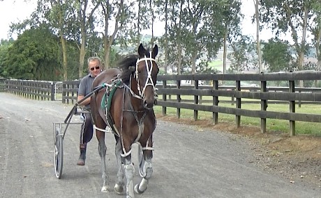 Trainer Ray Green with the improving Just Wing It.