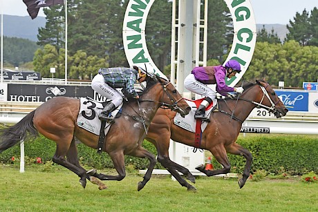 Denny’s Lincoln pictured winning his maiden in December, 2017.