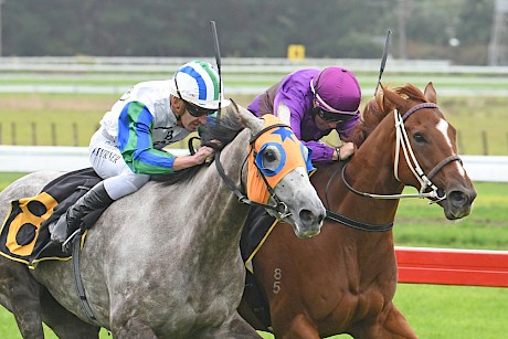Lincoln Green, inner, fights hard to stave off Shebringsmerubies at Otaki today. PHOTO: Peter Rubery/Race Images.