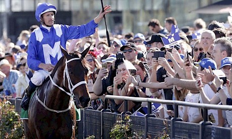 Winx and Hugh Bowman will perform for one last time on Saturday in front of a sold out Randwick crowd.