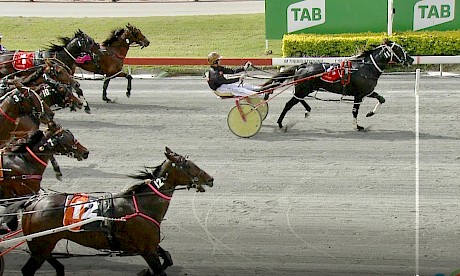 Trojan Banner has a clear two metre advantage over a wall of horses in his fourth straight win at Albion Park today.