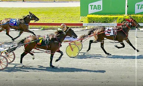 Lincoln’s Girl is cruising at the finish of her fresh-up win at Albion Park, her first race for four and a half months.