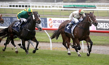 Robbie Hannam, who rides Authentic Charm on Thursday, has ridden her half brother Authentic Paddy, above, in 10 of his 11 wins.