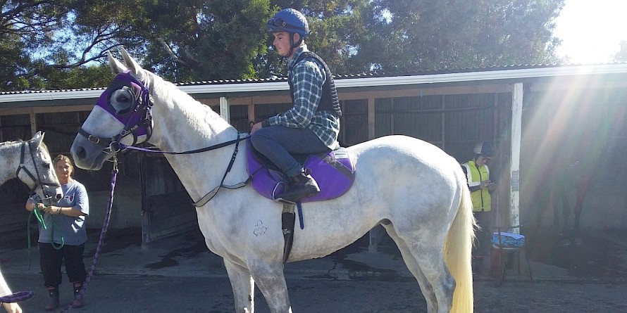 Standing out from the crowd at today’s Levin jumpouts was Lincoln Farms’ Reliable Man four-year-old Dependable.