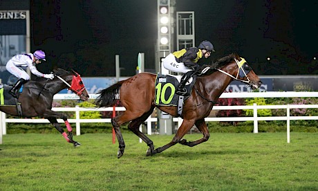 Darci’s Boy will find Friday’s 1100 metres too short second up.