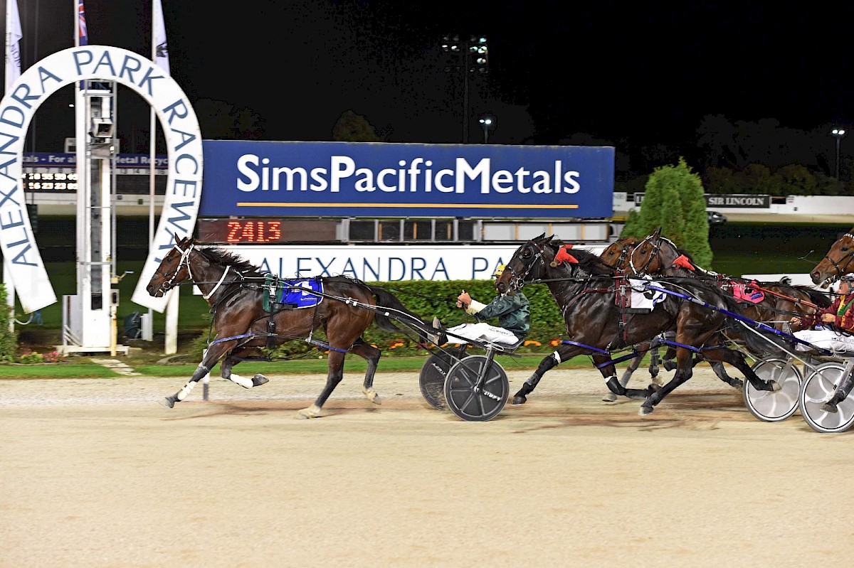 The Bull Pen (Exported to Australia)