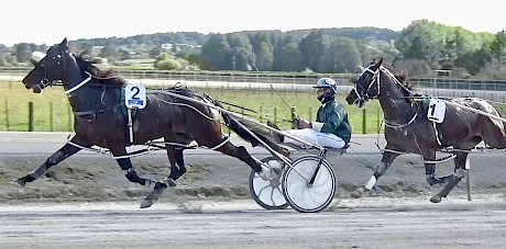 Double Or Nothing stretching out well in a recent workout at Pukekohe.