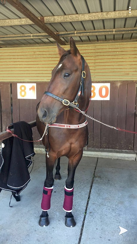 Make Way is really in the zone, says top horseman Anthony Butt.