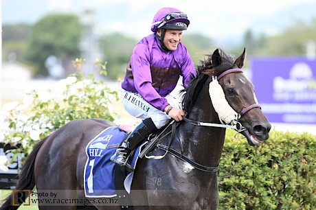 Robbie Hannam brings Lincoln Star back to scale at Awapuni last December.