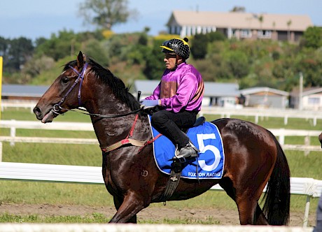 Robbie Hannam has done a lot of work on Lincoln Town at the jumpouts and trials