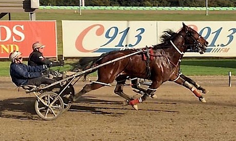 Make Way, obscured by training partner Lets Strike The Gold, stretches out in his work at Menangle.