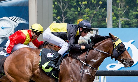 Darci’s Boy downs Kubera’s Chief last month at Kranji. PHOTO: SGRacingPhoto.