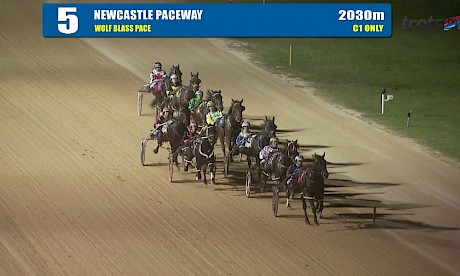 NEWCASTLE - 17/05/2019 - Race 5 - WOLF BLASS PACE